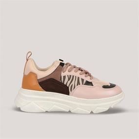 Aeropostale Shoes